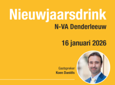 uitnodiging nieuwjaarsdrink