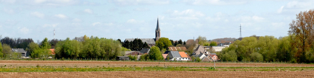 Header N-VA Denderleeuw